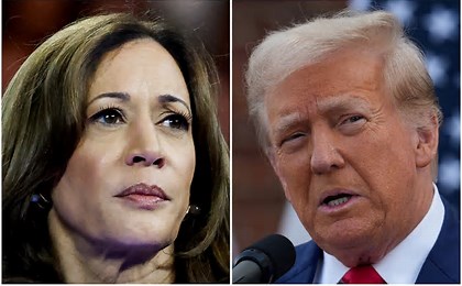 Harris and Trump